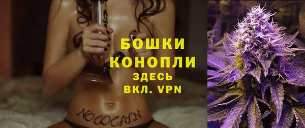 ALPHA PVP Гусиноозёрск