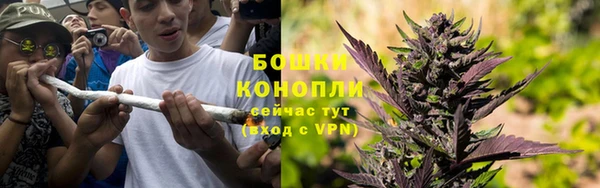 ALPHA PVP Гусиноозёрск