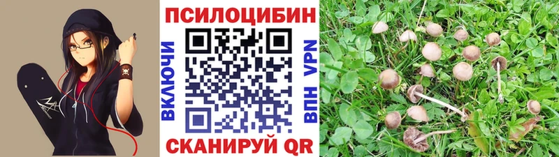наркотики  Жиздра  Псилоцибиновые грибы мицелий 
