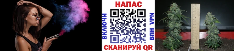 МАРИХУАНА план  Жиздра 